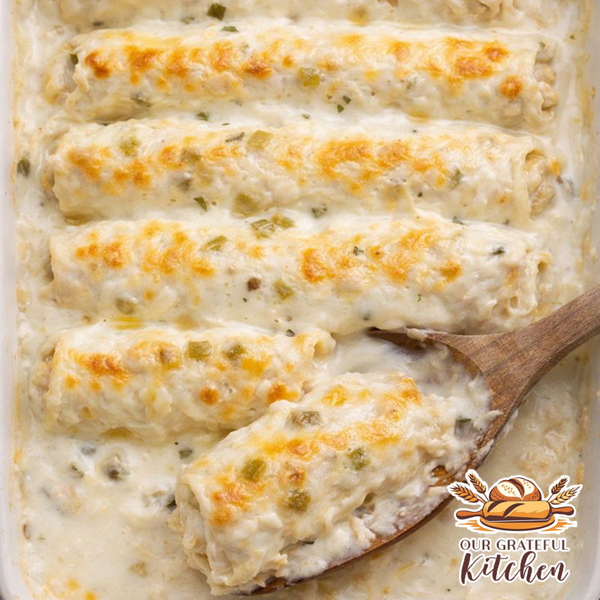 Creamy Chicken Enchiladas